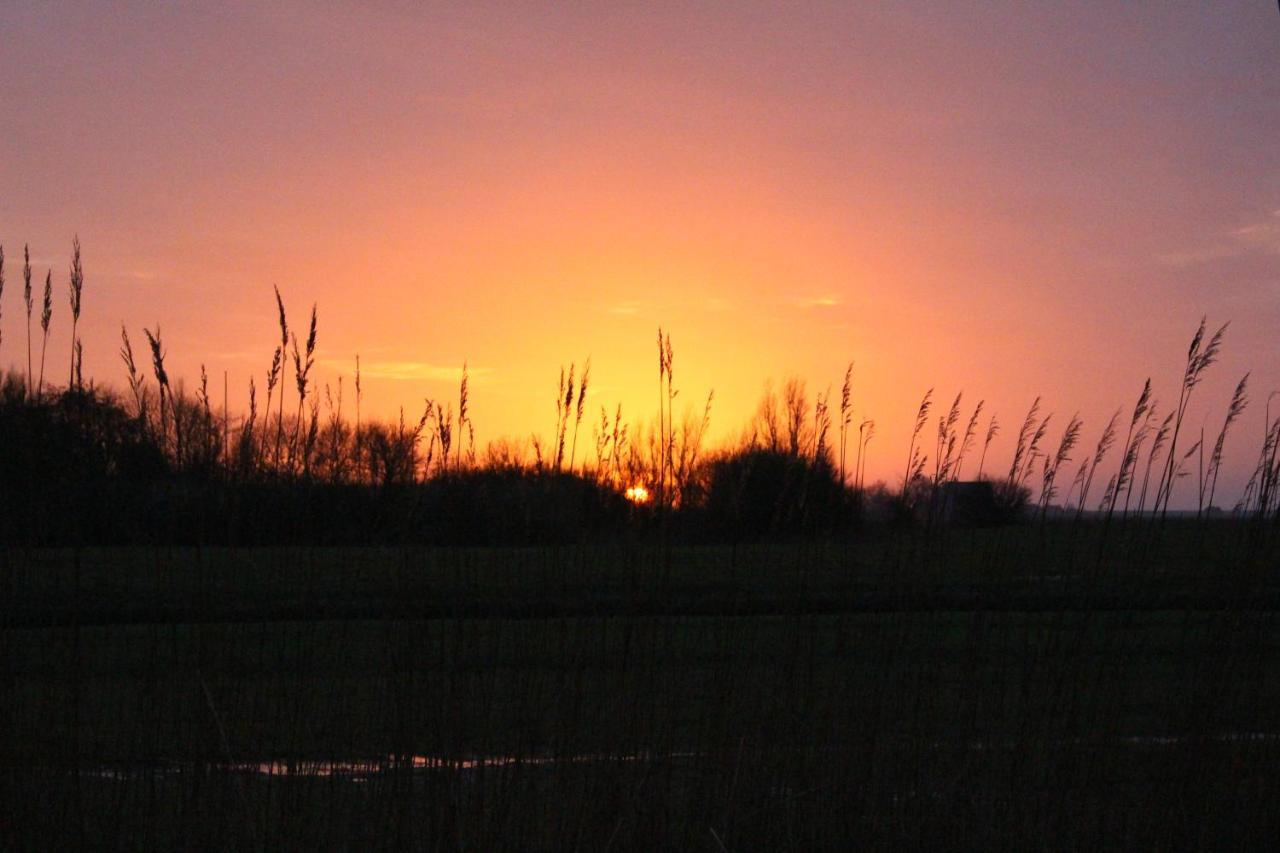 Nordsee Lodge Pellworm Bagian luar foto