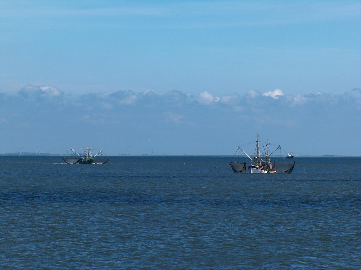 Nordsee Lodge Pellworm Bagian luar foto